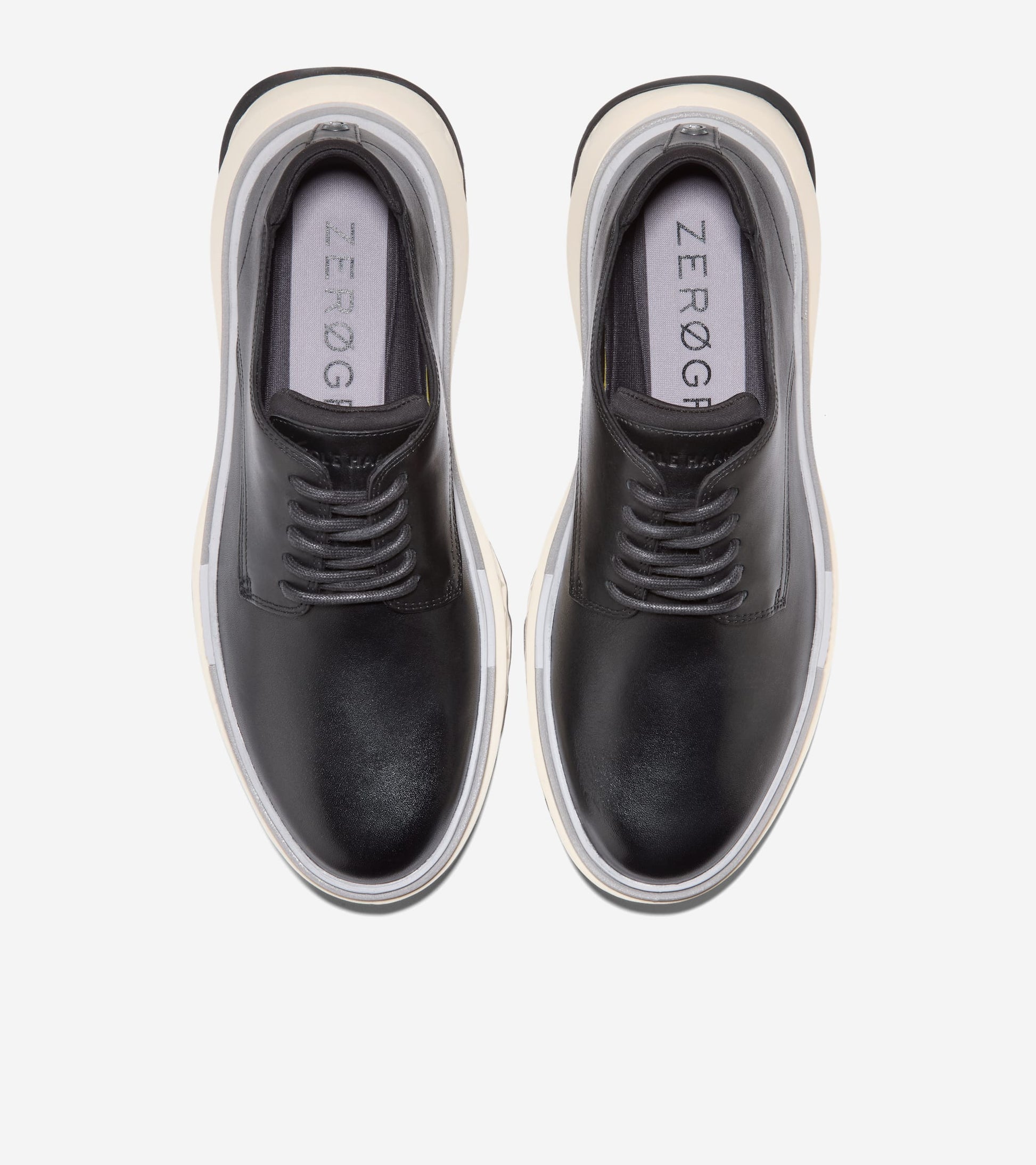 C42079:BLACK / MICROCHIP / IVORY