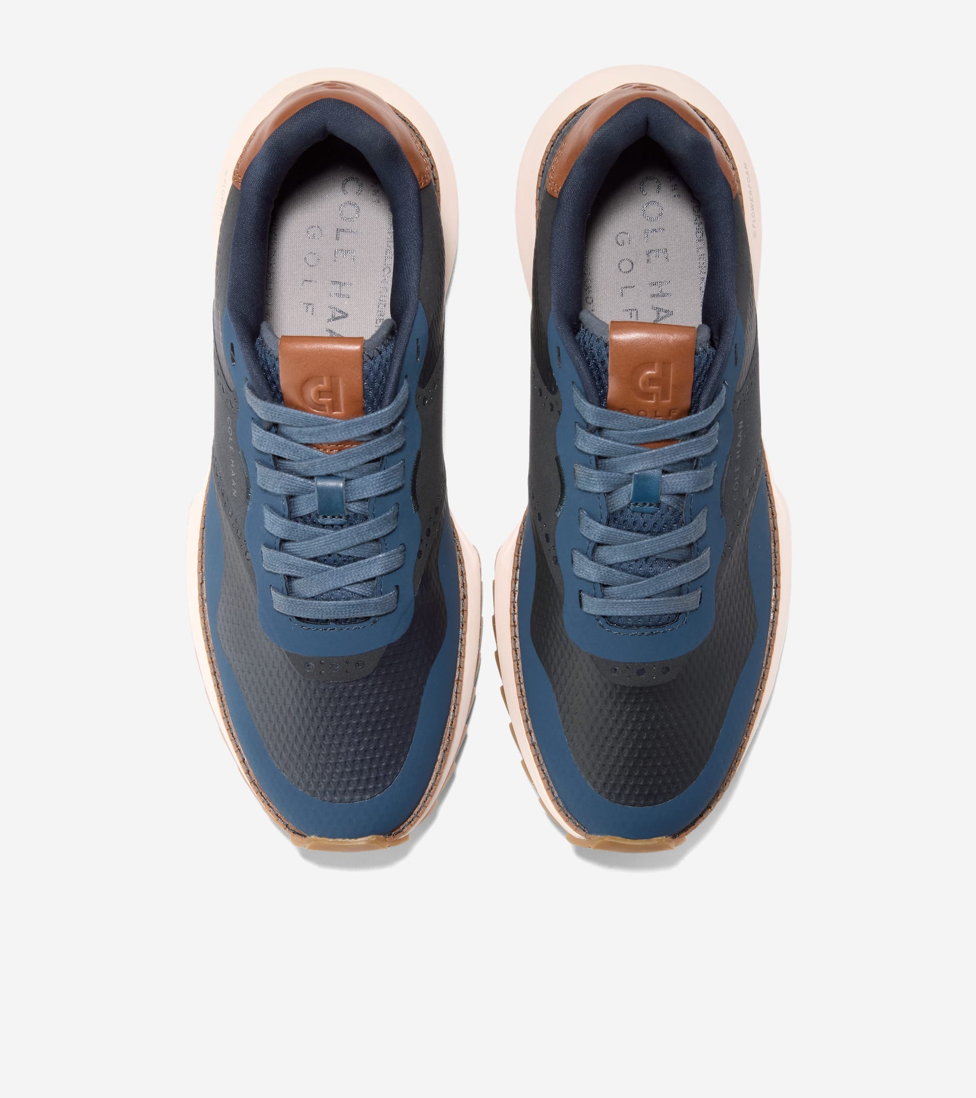 C40813:BIG DIPPER / CH BRITISH TAN / IVORY